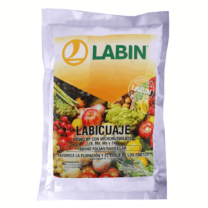 Labicuaje