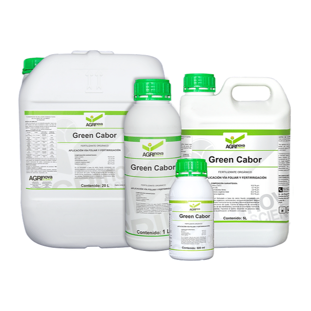 Green Cabor