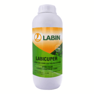 Labicuper
