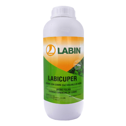 Labicuper