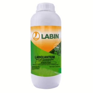Labiquantium