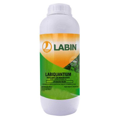 Labiquantium