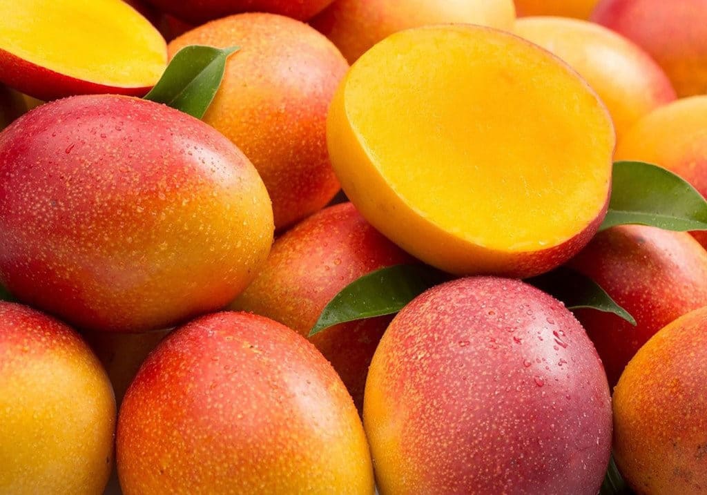 Este invierno, la cantidad de mangos disponibles para ser enviados a Estados Unidos experimenta una notable disminución