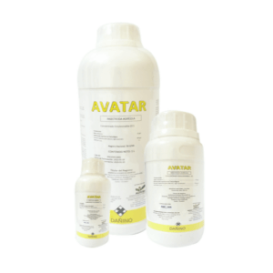 Avatar