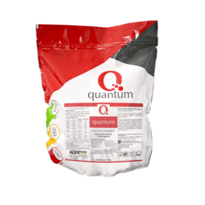 Quantum engorde