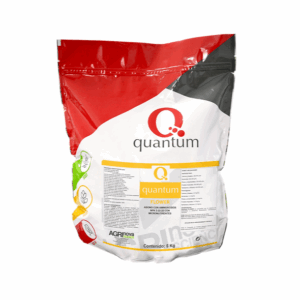 Quantum Flower