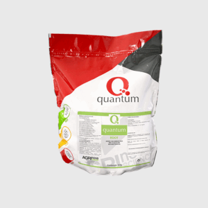 Quantum root