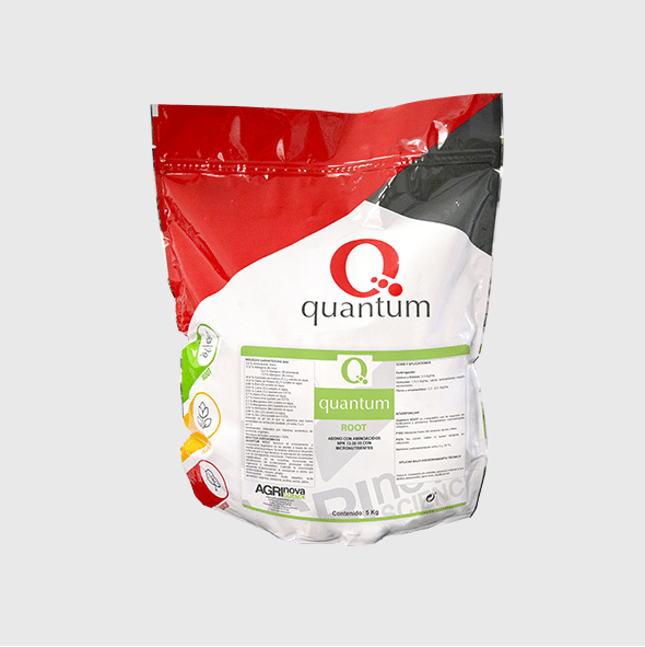 Quantum root