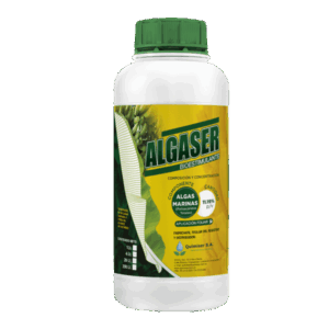 Algaser