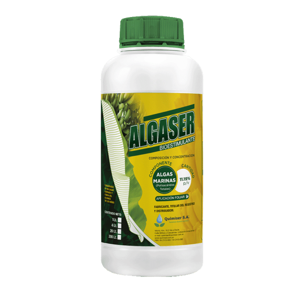 Algaser