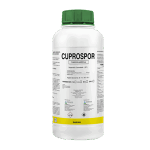 Cuprospor