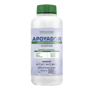 Apoyador