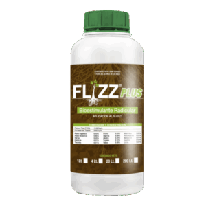 Flizz Plus