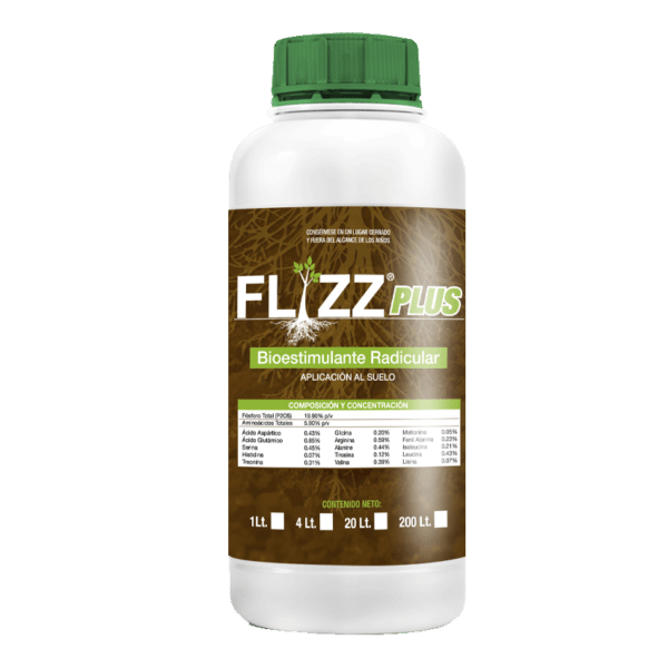 Flizz Plus