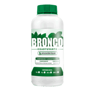 Bronco