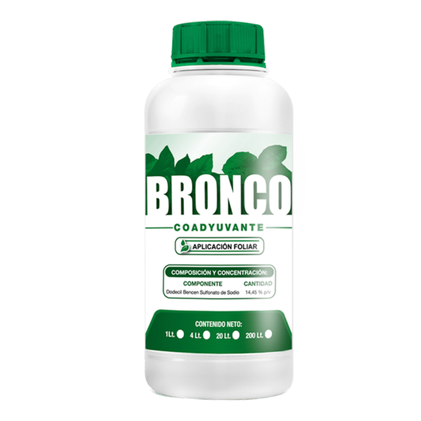 Bronco