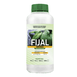Fijal