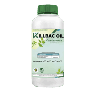 Killbac Oil