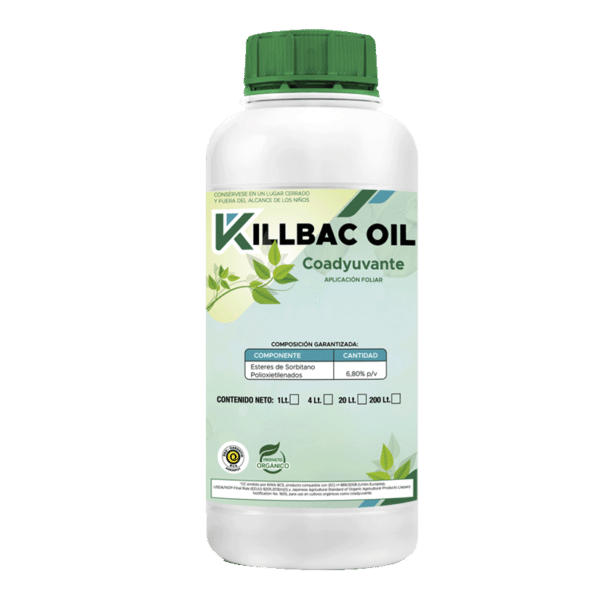 Killbac Oil