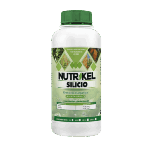 Nutrikel Silicio