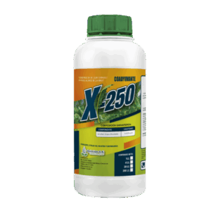 X-250