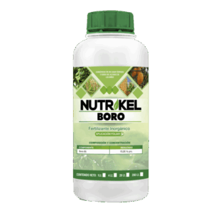 Nutrikel Boro