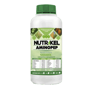 Nutrikel Aminopep
