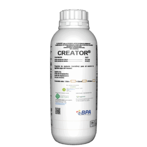 Creator
