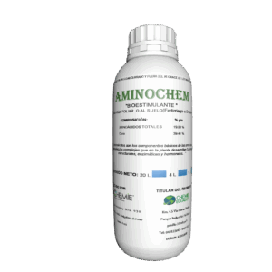Aminochem