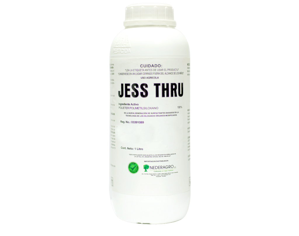 Jess Thru