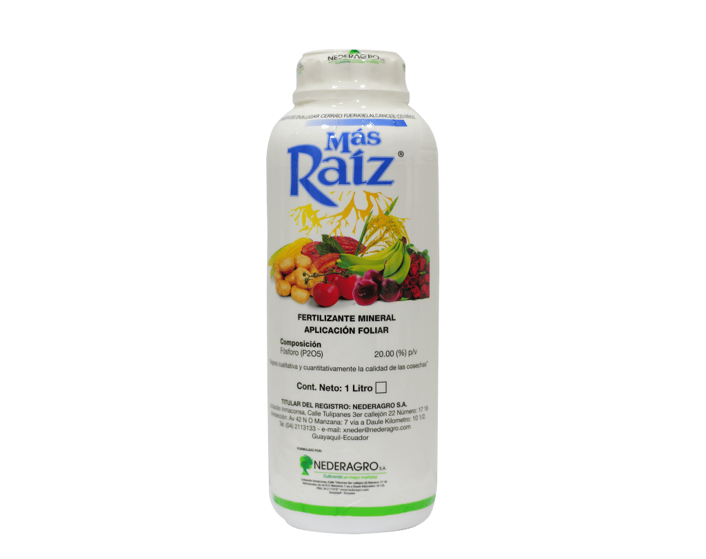 Más Raíz