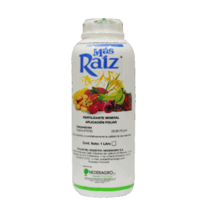 Más Raíz