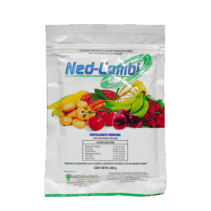 Ned Combi