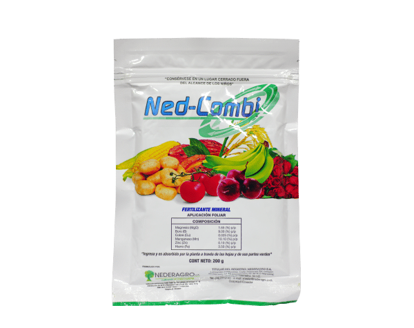 Ned Combi