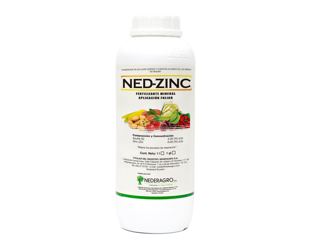 Ned Zinc