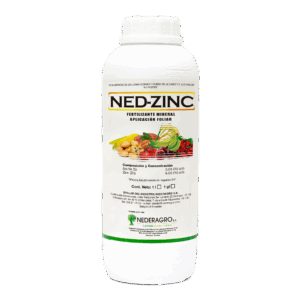 Ned Zinc