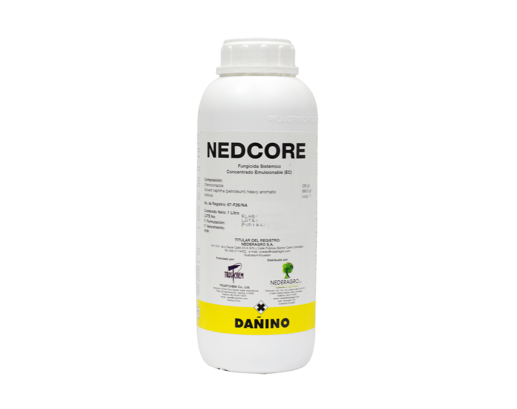 Nedcore