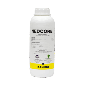 Nedcore