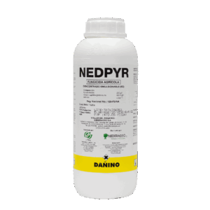 Nedpyr