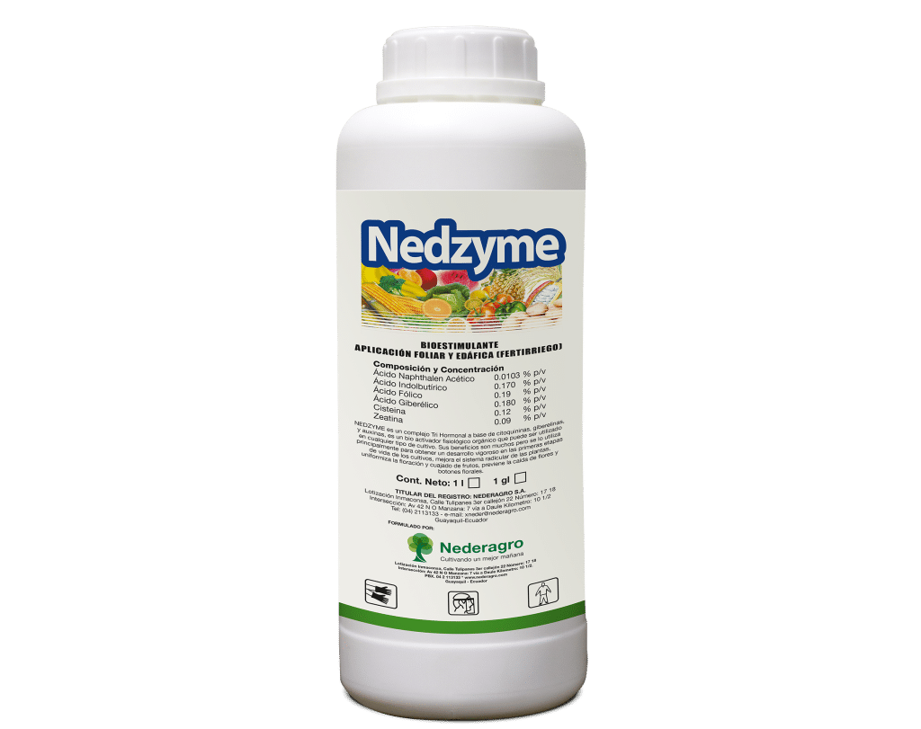 Nedzyme