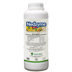 Nedzyme