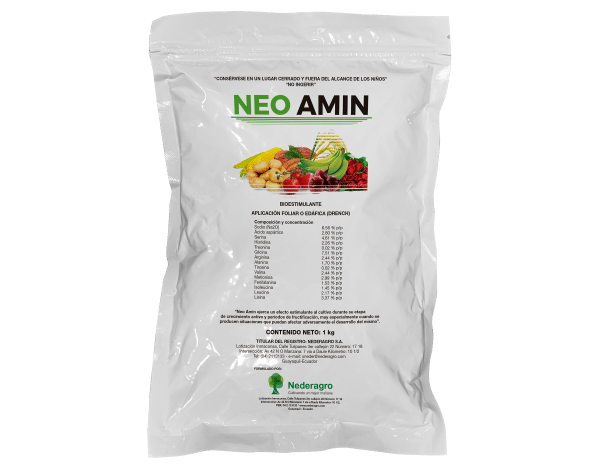 Neo Amin