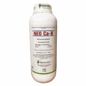 Neo Ca-B