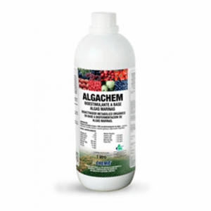 Algachem