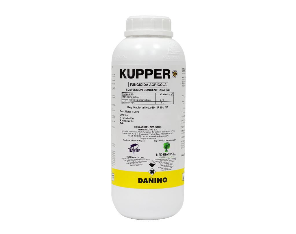 Kupper