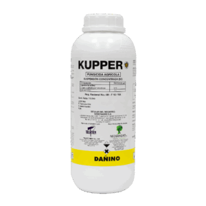 Kupper