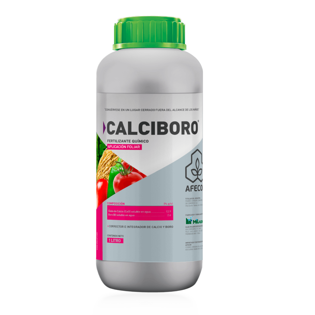 CalciBoro