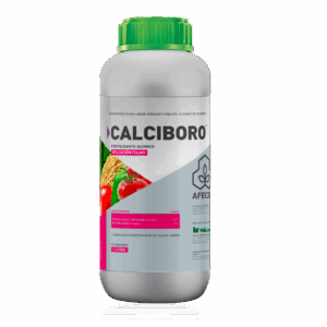 CalciBoro