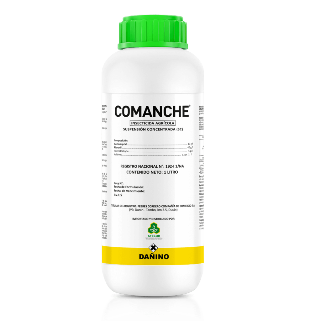 Comanche