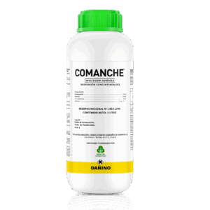 Comanche